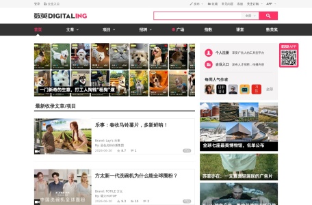 数英网